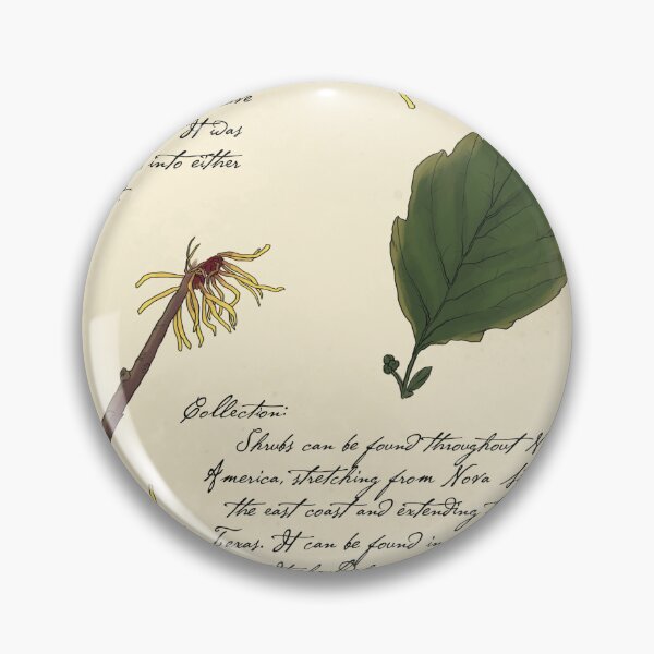 Item preview, Witch Hazel Botanical Page  designed and sold by KrystaThomasArt.