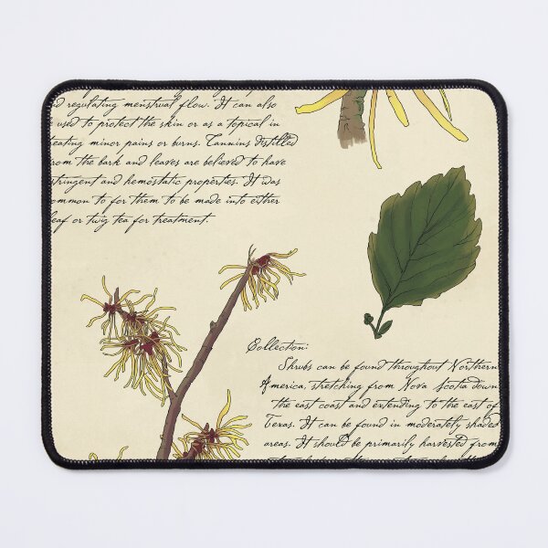 Item preview, Witch Hazel Botanical Page designed and sold by KrystaThomasArt.