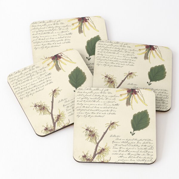 Item preview, Witch Hazel Botanical Page  designed and sold by KrystaThomasArt.