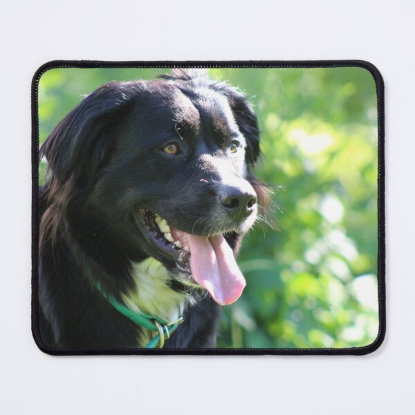 Item preview, summer black lab newfie bernie designed and sold by natchmiel.