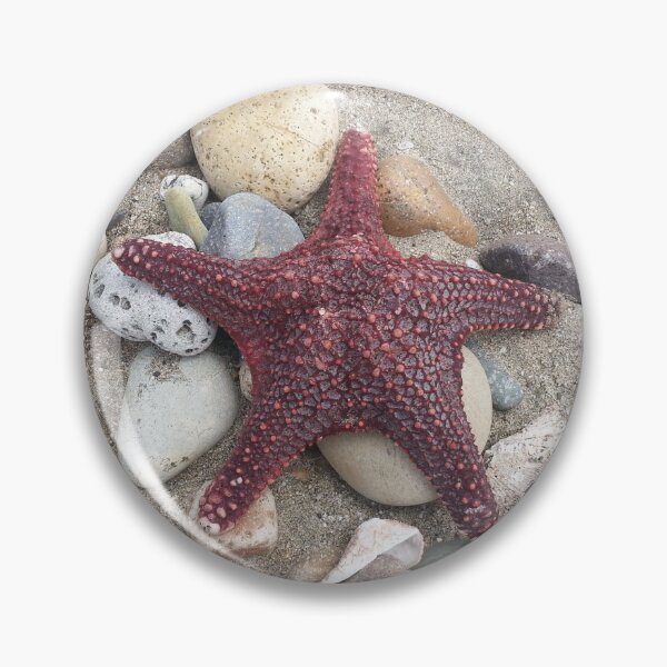Item preview, Aarons Coffee House Starfish designed and sold by aaronscoffee.