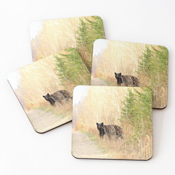 Item preview, Black Bear on the Trail designed and sold by MaryLinH.