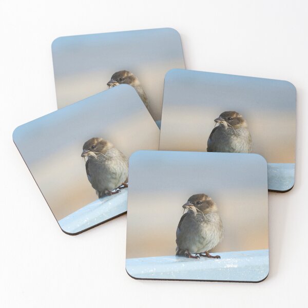 Item preview, House Sparrow With Nesting Material In Its Bill designed and sold by BackyardBirder.
