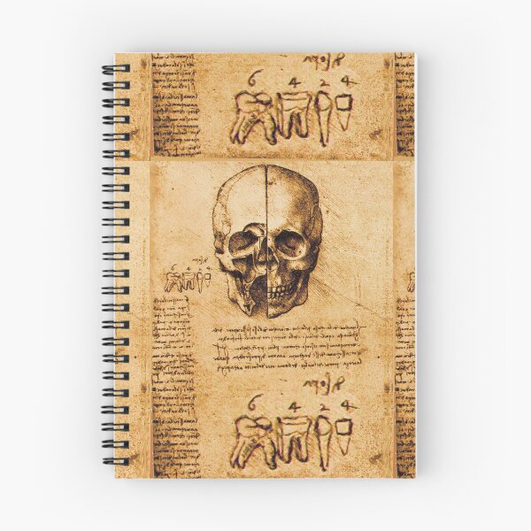 Item preview, SKULL AND TEETH ,DENTAL PARCHMENT Leonardo  Da Vinci designed and sold by BulganLumini.