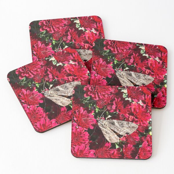 Item preview, Moth on Mums designed and sold by emikat-art.