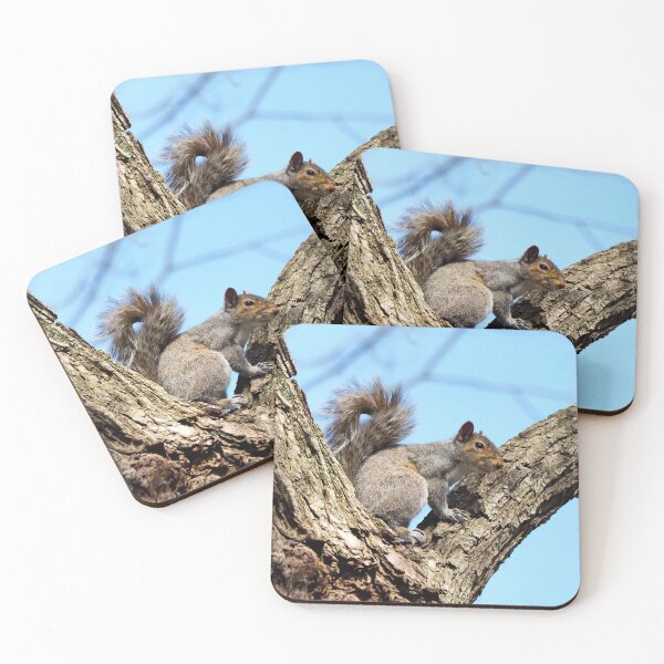 Item preview, A Watchful Squirrel Sitting In a Tree designed and sold by BackyardBirder.