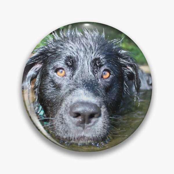 Item preview, dog days of summer designed and sold by natchmiel.