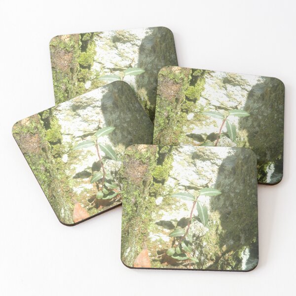 Item preview, Hidden But Not Forgotten designed and sold by BethyBeeHerbs.