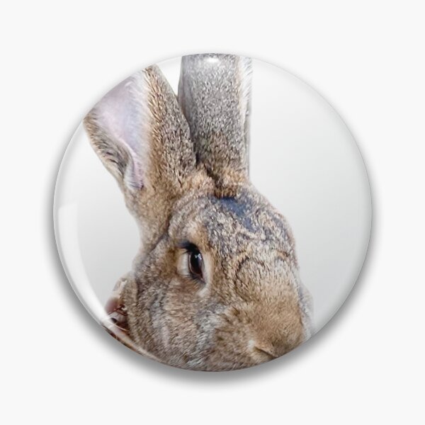 Item preview, Flemish Giant Rabbit designed and sold by Hezzyuk.