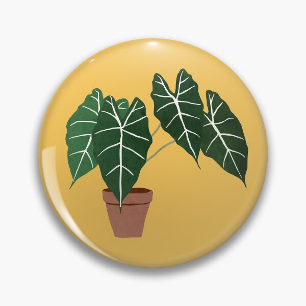 Item preview, alocasia amazonica interior plant designed and sold by alienrabbit.