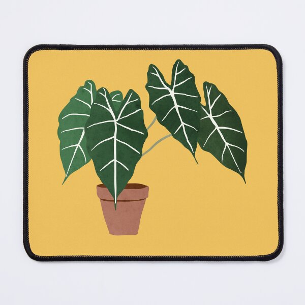 Item preview, alocasia amazonica interior plant designed and sold by alienrabbit.