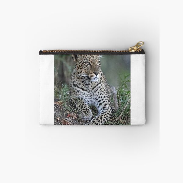 Item preview, Serengeti Leopard designed and sold by Anthony Goldman.