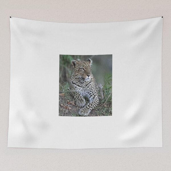 Item preview, Serengeti Leopard designed and sold by Anthony Goldman.