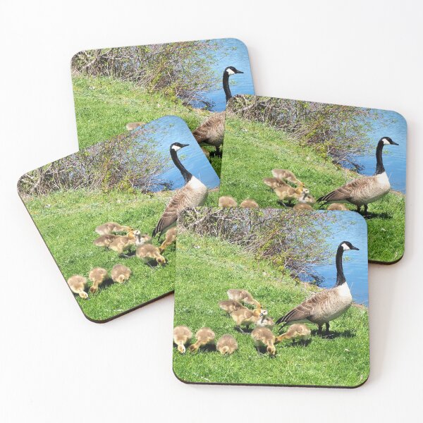 Item preview, Canada Goose Family - Wild Canada Goose Bird designed and sold by BackyardBirder.