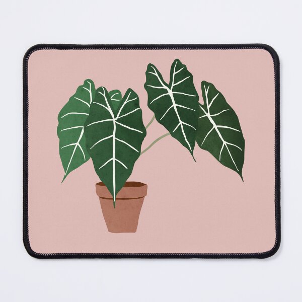 Item preview, alocasia amazonica interior plant blush pink designed and sold by alienrabbit.
