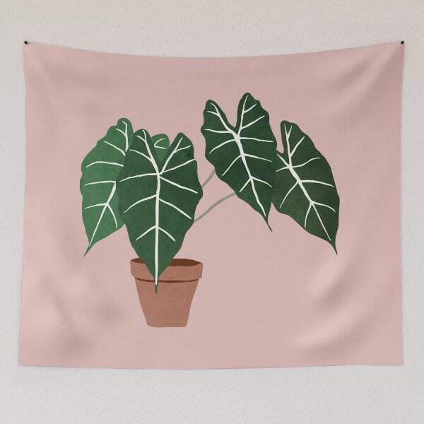 Item preview, alocasia amazonica interior plant blush pink designed and sold by alienrabbit.