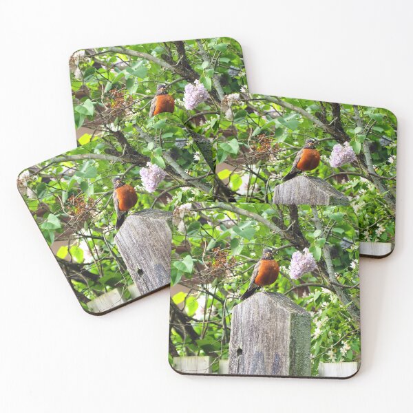 Item preview, American Robin Standing On Top of a Post designed and sold by BackyardBirder.