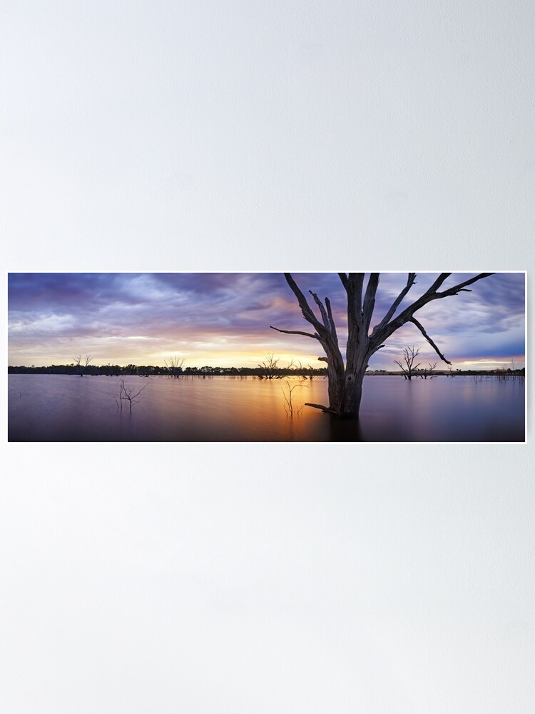 Alternate view of Lake Eppalock, Heathcote, Victoria, Australia Poster