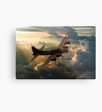 Sunset Sally Metal Print