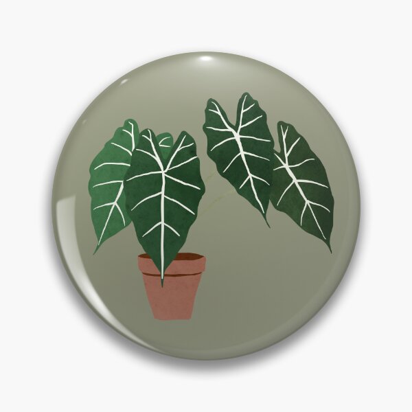 Item preview, alocasia amazonica interior plant sage green designed and sold by alienrabbit.