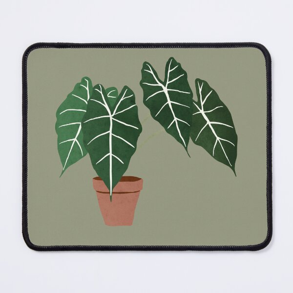 Item preview, alocasia amazonica interior plant sage green designed and sold by alienrabbit.