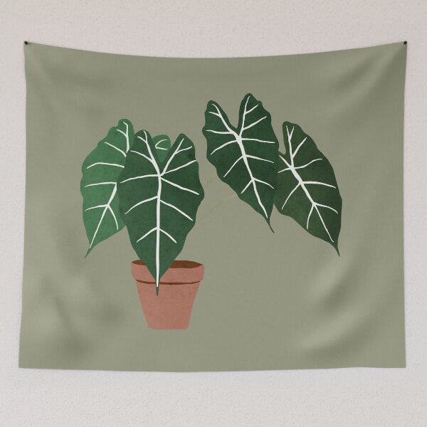 Item preview, alocasia amazonica interior plant sage green designed and sold by alienrabbit.