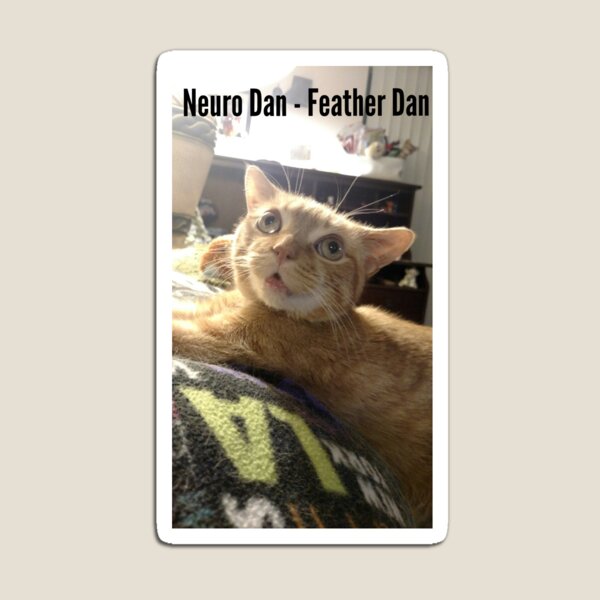 Neuro Dan - Feather Dan "Is it FEATHERS time?" Magnet
