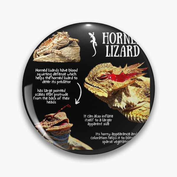 Item preview, Horned Lizard Fun Facts designed and sold by KyleNesas.