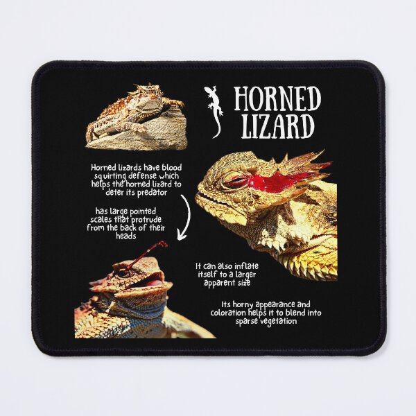 Item preview, Horned Lizard Fun Facts designed and sold by KyleNesas.