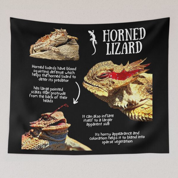 Item preview, Horned Lizard Fun Facts designed and sold by KyleNesas.