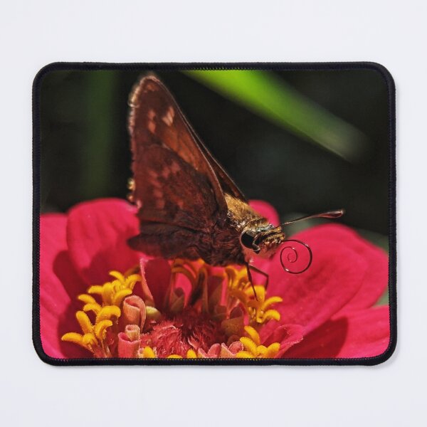 Item preview, Flower Drinker designed and sold by RussellsArtMart.