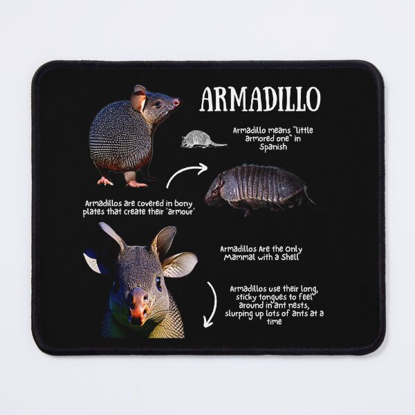 Item preview, Armadillo Fun Facts designed and sold by KyleNesas.