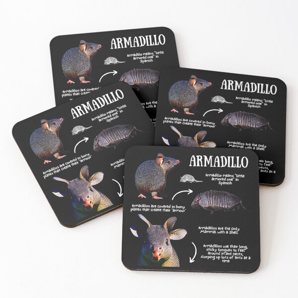 Item preview, Armadillo Fun Facts designed and sold by KyleNesas.