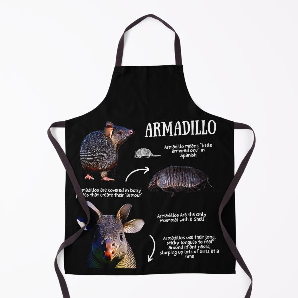 Item preview, Armadillo Fun Facts designed and sold by KyleNesas.