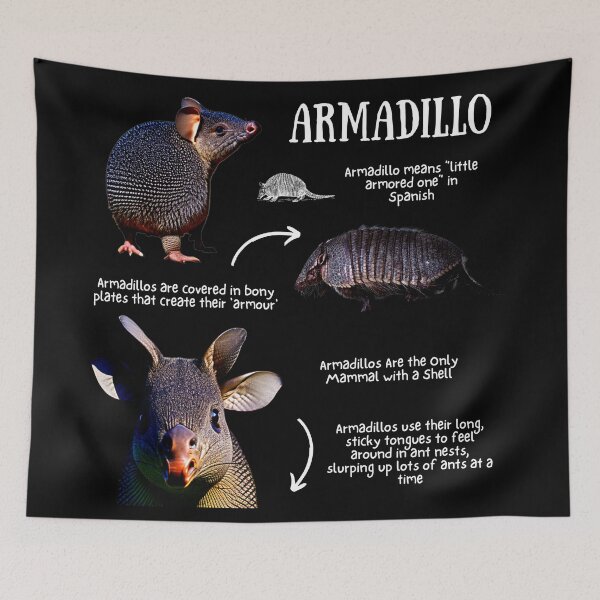 Item preview, Armadillo Fun Facts designed and sold by KyleNesas.
