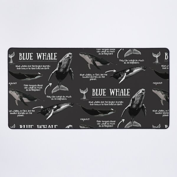 Blue Whale Valentines for Kids - WH Hostess Social Stationery