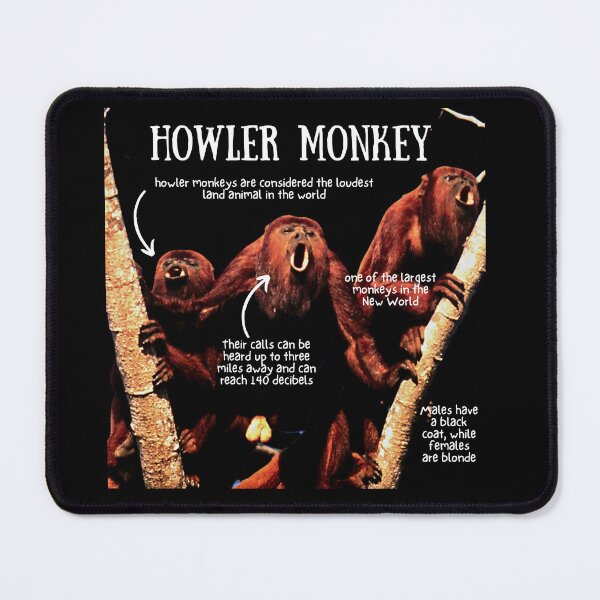 Item preview, Howler Monkey Fun Facts designed and sold by KyleNesas.
