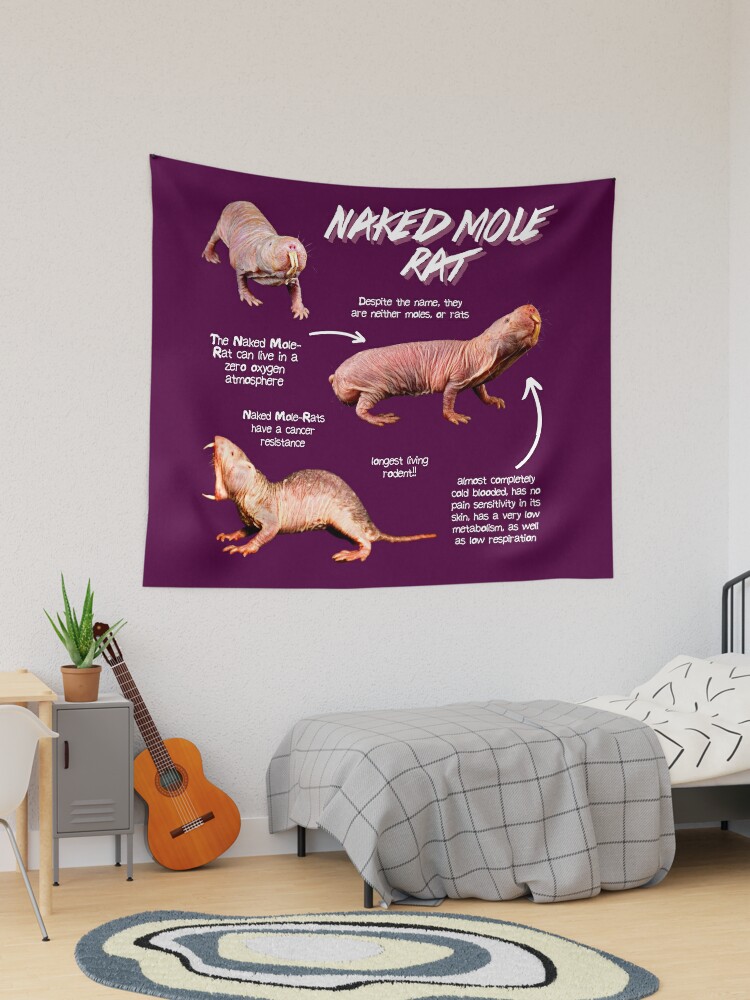 Blob Fish Fun Fact Tapestry for Sale by KyleNesas