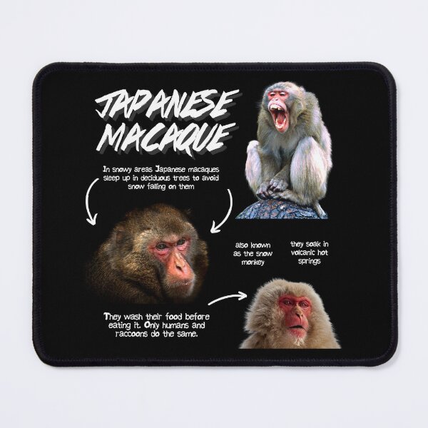 Item preview, Japanese Macaque Fun Facts designed and sold by KyleNesas.