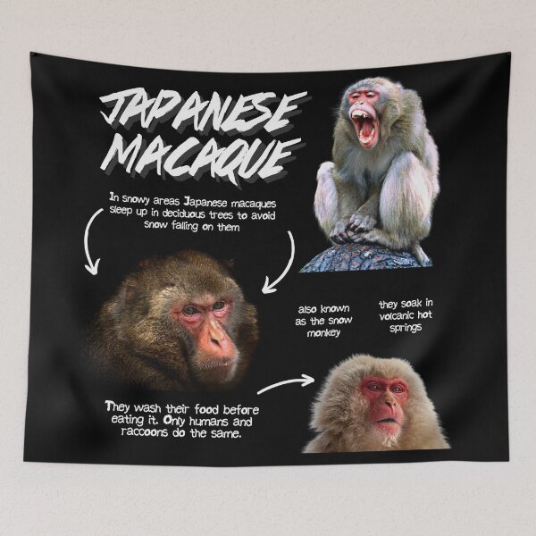 Item preview, Japanese Macaque Fun Facts designed and sold by KyleNesas.
