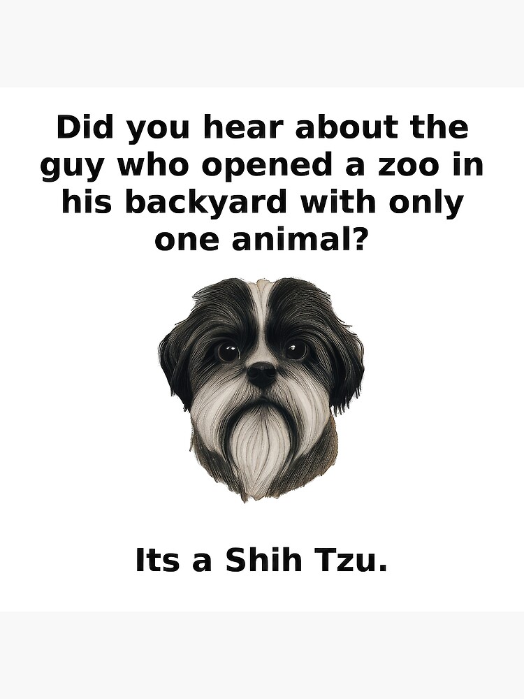 Thumbnail 3 of 3, Poster, Funny dog joke, Shih Tzu joke, white/light background designed and sold by Midnight-Hour.