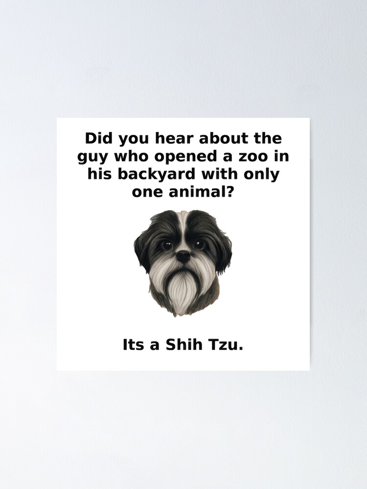 Thumbnail 1 of 3, Poster, Funny dog joke, Shih Tzu joke, white/light background designed and sold by Midnight-Hour.