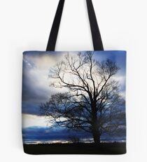 winter approaches... Tote Bag