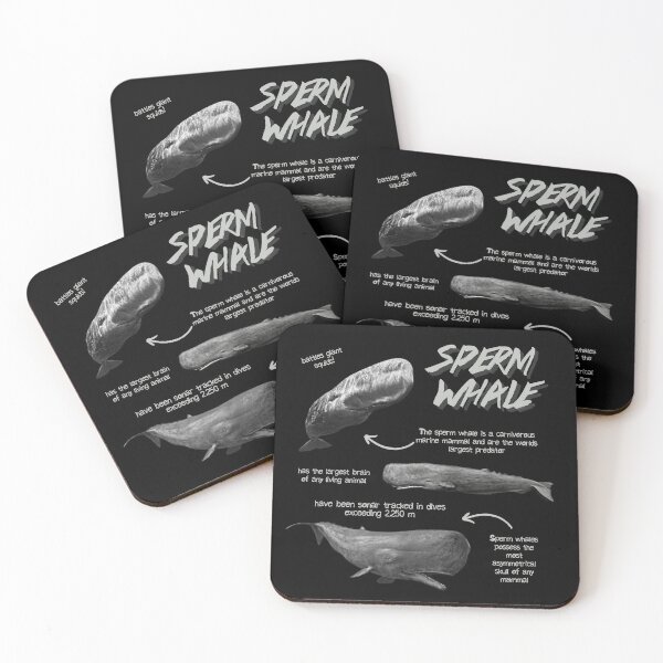 Item preview, Sperm Whale Fun Facts designed and sold by KyleNesas.