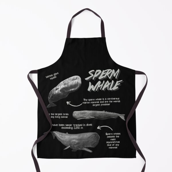 Item preview, Sperm Whale Fun Facts designed and sold by KyleNesas.