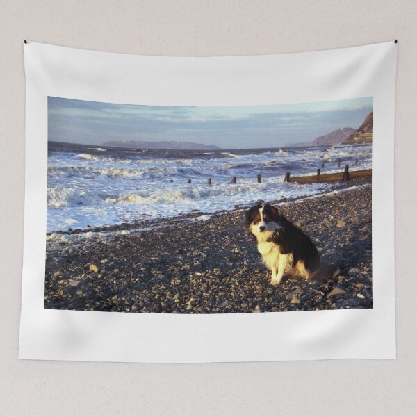 Item preview, Laddie, Prince of Tides. designed and sold by Michael Haslam.