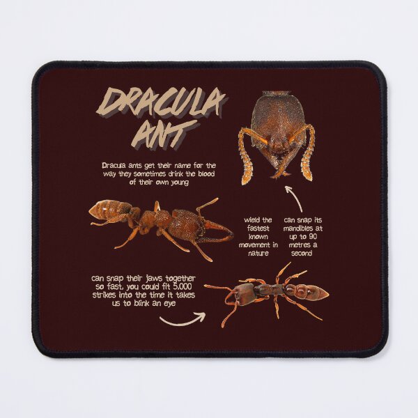 Item preview, Dracula Ant Fun Facts designed and sold by KyleNesas.