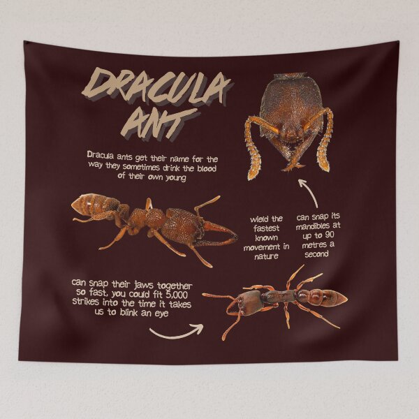 Item preview, Dracula Ant Fun Facts designed and sold by KyleNesas.