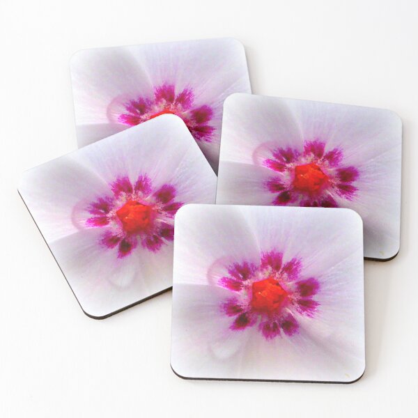Item preview, Vinca Rosea Closeup designed and sold by angel1.