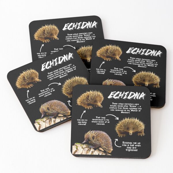 Item preview, Echidna Fun Facts designed and sold by KyleNesas.